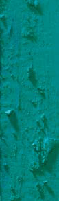 Natur, Draußen, Riff, Leben im Meer, Wasser,