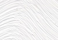 SF Titanium white #3101 PG1
